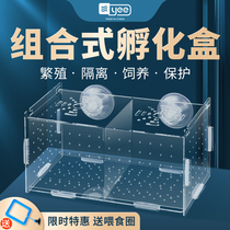 Guppies breeding box Incubation box Acrylic fish tank isolation box ovipositor fish egg breeding box small fish delivery room