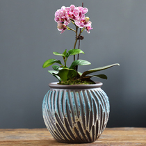 Purple sand flower pot coarse pottery and breathable butterfly Lan special meat plant creative retro green planting ceramic small multi-meat flower pot