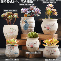 Six sets of creative coarse pottery Breathable Multi-Meat Flower Pot Combined Suit Special Price Clear Cabin Clay Multi-Meat Plant Basin