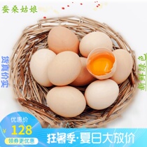 Mulberry garden in mulberry grow up free-range running chicken farm mulberry eggs free of charge 30 pieces