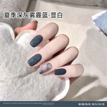 Autumn and winter dark gray haze blue nail polish glue 2020 new net red pop color nail salon special phototherapy