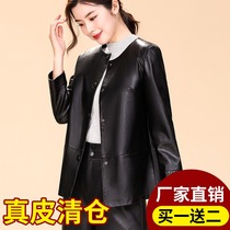 Spring and Autumn Haining leather leather clothing women short Korean version of loose sheep leather windbreaker large size coat 2021 Spring New