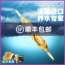 France Cody nitrifying bacteria Aqua digestive bacteria seawater fish tank water supplies nitrifying bacteria injection water purification