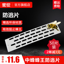Bees in the bee anti-running King film anti-escape film Beehive nest door Queen Bee anti-run anti-theft Bee King film 100 bees