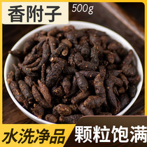 Seeking Baicao Chinese herbal medicine Xiangfu wild Xiangzi Chinese medicine Xiangfu Herb 500g and vinegar made Xiangfu Fen Pill
