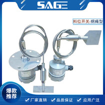 Start-and-control type material level switch R-type object controller normal temperature pressure standard Rod long industrial instrument