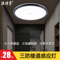 Wintertefu led body sensor light public staircase corridor smart sensor light hotel corridor aisle garage light