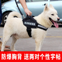 Dog chest strap Traction rope Dog chain Medium-sized dog Large dog Golden Retriever Samoyed Labrador Dog walking rope