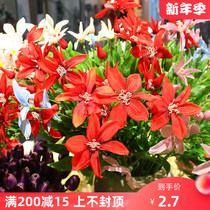 Clematis simulation floral wedding decoration floral wedding arrangement fake flower wedding single branch bouquet home decoration