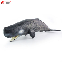 Foreign trade marine biology simulation sperm whale model seabed story toy doll seabed biological children gift