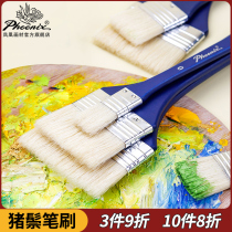 Phoenix painting material Bristle painting brush Artist oil painting bristle long handle brush Acrylic beginner painting special brush Gouache art brush Watercolor row brush Brush shading brush Hand-painted diy