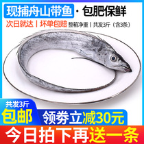 Zhoushan small eye with fish Ningbo fresh frozen whole saber fish fresh sea catch deep sea fish with fish fish seafood