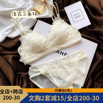 Physical chao beauty silk inside French romantic embroidery lace underwear triangle cup big chest small chest sleeve
