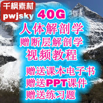 Human anatomy gift Knight color map fault electronic teaching materials test questions PPT courseware handout video tutorial