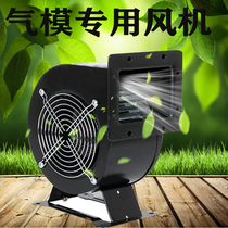 Small inflatable arch multi-wing air mold centrifugal fan blower rainbow arch with powerful fan for heat dissipation