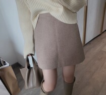 Short skirt womens 20121 autumn and winter new Hong Kong flavor a word simple and versatile bag arm high waist one-piece skirt