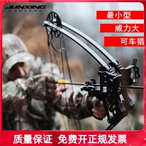 Junxing Nighthawk Composite Pulley Bow Set Outdoor Shooting Sports Small Steel Ball Triangle Bow Composite Curve Arrow