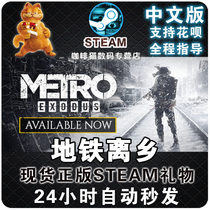Steam Authentic PC Chinese Game Metro Leave Metro Exodus Colonel Sam DLC Doomsday Action