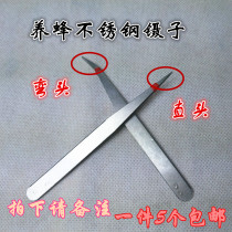 Beekeeping Tweezers Stainless Steel straight elbows take royal jelly migration King tweezers pliers raising bees tools