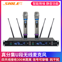 Lion Music SH-22 true diversity one to two U segment wireless microphone Professional stage performance event handheld microphone