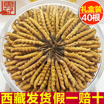 Cordyceps Sinensis Dry Cordyceps Sinensis flagship store Fresh Cordyceps 4 grams 10 grams 40 gift boxes