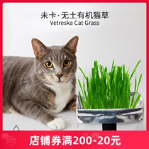 Amazing Cat Grass Unka VETRESKA No home-made organic Mao hydroponic paper bags Cat Grass Cat Snacks
