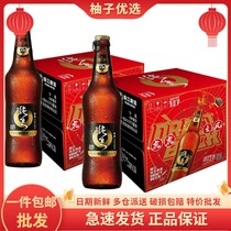 (24 bottles) Pearl River Beer 9 ° P Pearl River 97 Pure raw beer 528ml * 12 bottles * 2 boxes of high-quality fresh beer