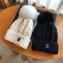 Hat female autumn and winter fox fur hat Korean version of wild tide warm wool hat twist sweet cute knitted hat