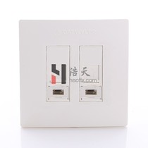 Detwiler Double Panel TW848-F86-2KSWH Datwyler Network Compatible Keystone Module