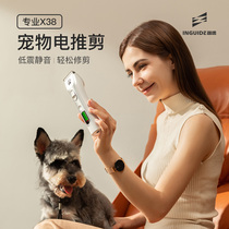 Pets special electric clipper shave dog hair cleaning artifact self cut foot small dog hair clipper cat high power