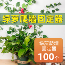 Green Luo holder household green basket climbing artifact Green Climbing Wall Wall wall hanging no trace climbing Green Luo climbing clip adhesive hook