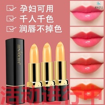 Han daffodil carotene color lip balm moisturizing moisturizing moisturizing hydrating does not drop decolorization non-stick Cup lipstick female