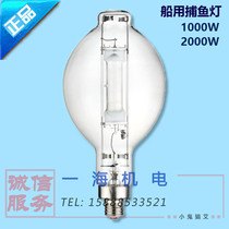 Marine fishing lights in the air bulb 1000W2000W high power high light efficiency fishing light white green light