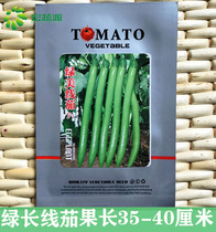 Green Beauty Line Eggplant Green Long Eggplant Fry with high yield Early-cooked cold and heat resistant and shiny and smooth