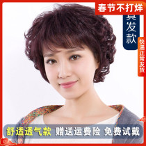 Wig women's short curly hair real hair middle-aged and elderly women's short hair full hair real hair fluffy hair fashion hair for mother