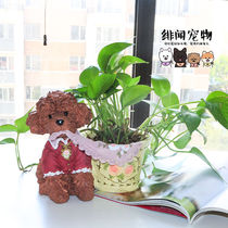 English style ~ Teddy poodle cartoon dog resin flower pot creative gift pet decoration home decoration