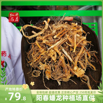 250 grams of Yangchun Sand Ren root authentic Beaulong Qingwan Pit spring sand Ren root planting field raw and dried sand Ren root half a catty bag