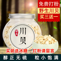 Wild Sichuan scallop mother Sichuan scallop powder Flat fritillary child cough fritillary can be ground 100g