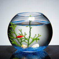 Creative fish tank small micro-landscape desktop glass fish tank ecological goldfish tank landscaping living room Betta algae ball tank