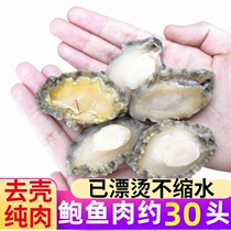 Fresh abalone meat frozen shell big Abalone Seafood frozen aquatic products Fujian Buddha jump wall raw materials commercial