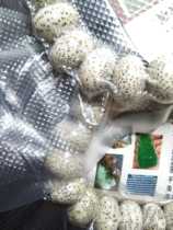 16 17 Gaomi Xuanyue Shunbai Hainan Xingyue Bodhi Apple Orchard Abacus Beads