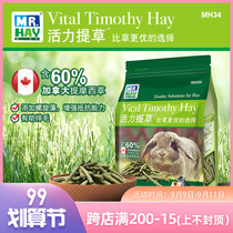 MR. HAY grass vigor straw rabbit grass stick Chinchilla guinea pig Timothy pasture HAY replacement