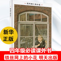 Xiaohua on the barbed wire Tomorrow Publishing House genuine book Primary School students fourth grade picture book small flower book on steel wire Primary School students extracurricular reading picture book extracurricular book 7-13-year-old reading bibliography