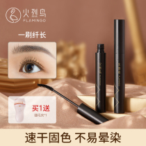 Flarebird Fiber Graft Mascara Waterproof Fiber Long Roll Teething is not easy to faint and persistent stereotypes are not easy to remove