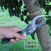 Fujiwara ring cutter ring peeling apple jujube tree peeling knife garden tool cutting bark ring cutter armor cutter