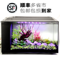 Anobi ultra white glass ecological fish tank building living room small home silent side contemplat closed rectangular partition