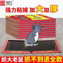 Pacesetter mouse sticker strong sticky mouse board Catch big mouse Catch sticky water mouse artifact thicken a nest end