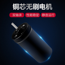 Automatic scale planer special motor accessories Scraper scale artifact Electric scraper scale machine to kill fish tools to scale