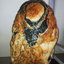 Fortune is in the head