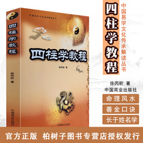  Four Pillars Tutorial (Chinese Easy-to-learn Cultural Heritage Interpretation series) Xu Bingxin Numerology books Introductory reading Books Batch eight characters books Four pillars books gd